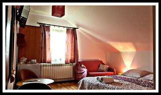 Отели типа «постель и завтрак» Leśne Berdo Przysłup Цисна Номер с кроватью размера «king-size» и видом на горы-3